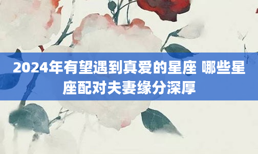 2024年有望遇到真爱的星座 哪些星座配对夫妻缘分深厚