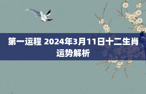 第一运程 2024年3月11日十二生肖运势解析