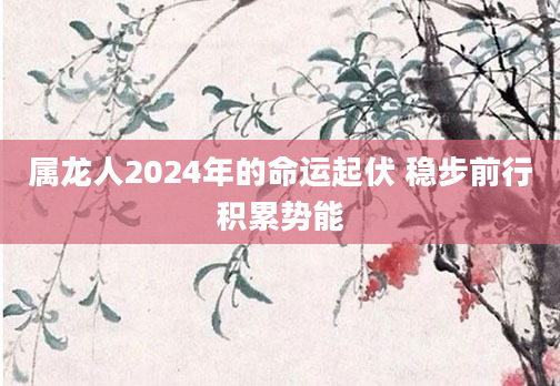 属龙人2024年的命运起伏 稳步前行积累势能