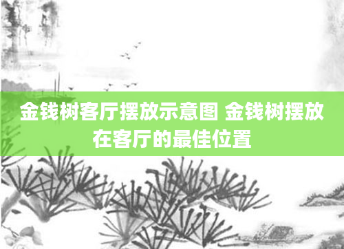 金钱树客厅摆放示意图 金钱树摆放在客厅的最佳位置