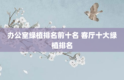办公室绿植排名前十名 客厅十大绿植排名