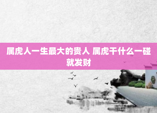 属虎人一生最大的贵人 属虎干什么一碰就发财
