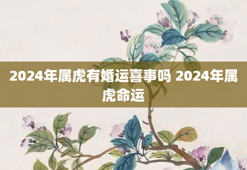 2024年属虎有婚运喜事吗 2024年属虎命运
