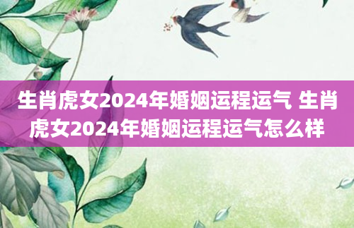 生肖虎女2024年婚姻运程运气 生肖虎女2024年婚姻运程运气怎么样
