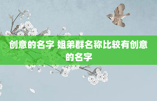 创意的名字 姐弟群名称比较有创意的名字