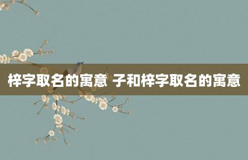 梓字取名的寓意 子和梓字取名的寓意