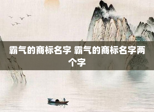 霸气的商标名字 霸气的商标名字两个字