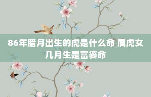 86年腊月出生的虎是什么命 属虎女几月生是富婆命