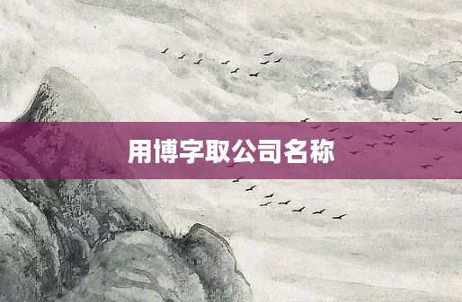 用博字取公司名称