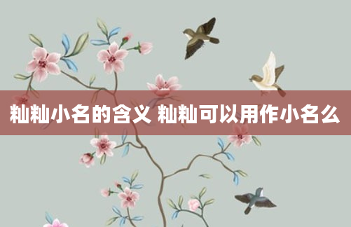 籼籼小名的含义 籼籼可以用作小名么