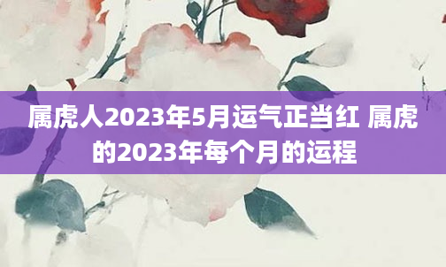 属虎人2023年5月运气正当红 属虎的2023年每个月的运程