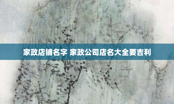 家政店铺名字 家政公司店名大全要吉利