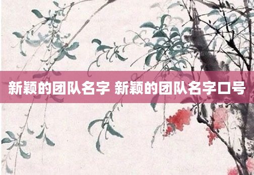 新颖的团队名字 新颖的团队名字口号