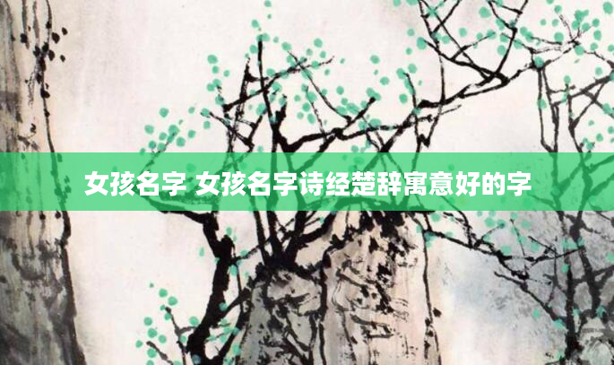 女孩名字 女孩名字诗经楚辞寓意好的字