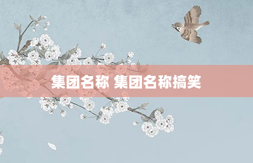 集团名称 集团名称搞笑