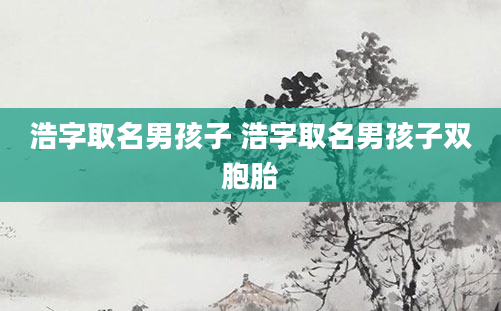 浩字取名男孩子 浩字取名男孩子双胞胎