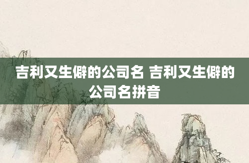 吉利又生僻的公司名 吉利又生僻的公司名拼音
