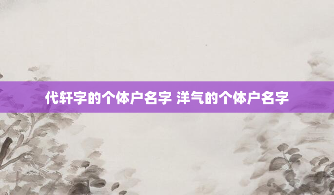 代轩字的个体户名字 洋气的个体户名字
