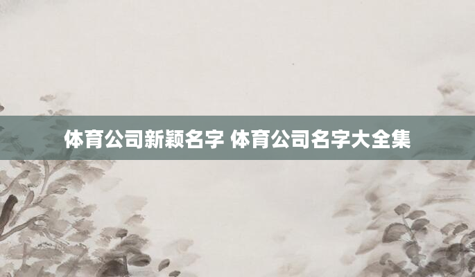 体育公司新颖名字 体育公司名字大全集