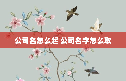 公司名怎么起 公司名字怎么取