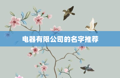 电器有限公司的名字推荐