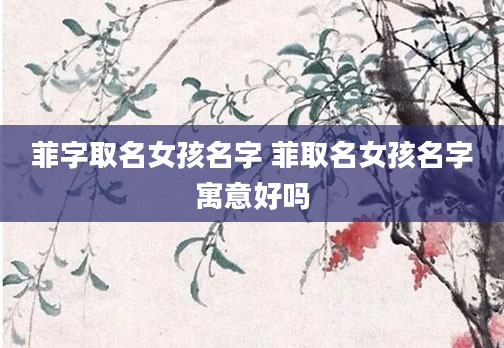 菲字取名女孩名字 菲取名女孩名字寓意好吗