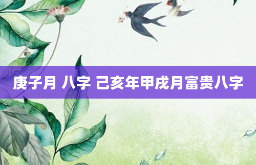 庚子月 八字 己亥年甲戌月富贵八字