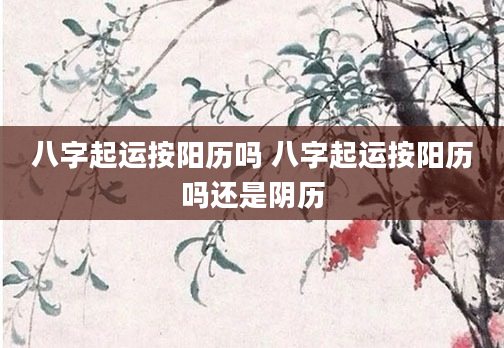 八字起运按阳历吗 八字起运按阳历吗还是阴历