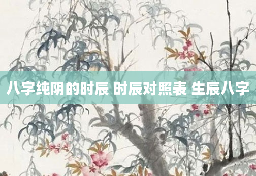 八字纯阴的时辰 时辰对照表 生辰八字