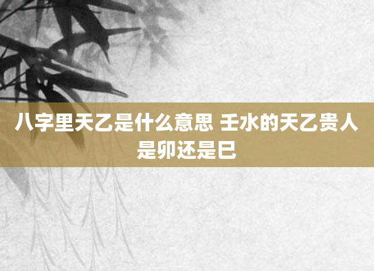 八字里天乙是什么意思 壬水的天乙贵人是卯还是巳