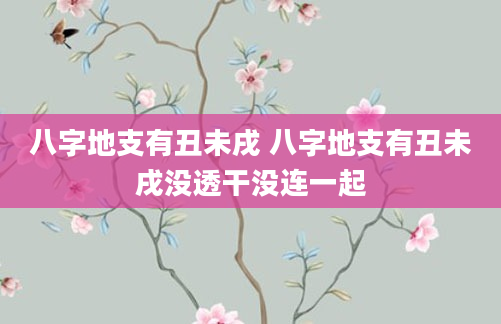 八字地支有丑未戌 八字地支有丑未戌没透干没连一起