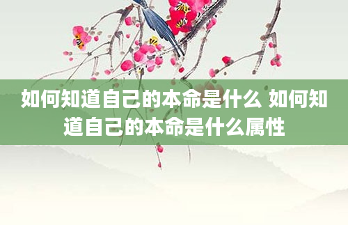 如何知道自己的本命是什么 如何知道自己的本命是什么属性