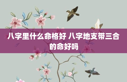 八字里什么命格好 八字地支带三合的命好吗