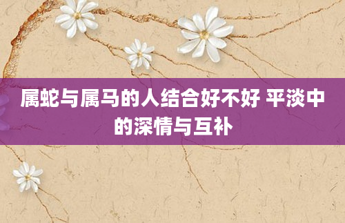 属蛇与属马的人结合好不好 平淡中的深情与互补