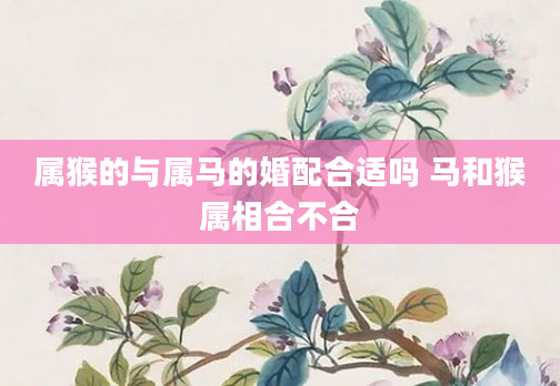 属猴的与属马的婚配合适吗 马和猴属相合不合