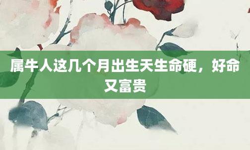 属牛人这几个月出生天生命硬，好命又富贵