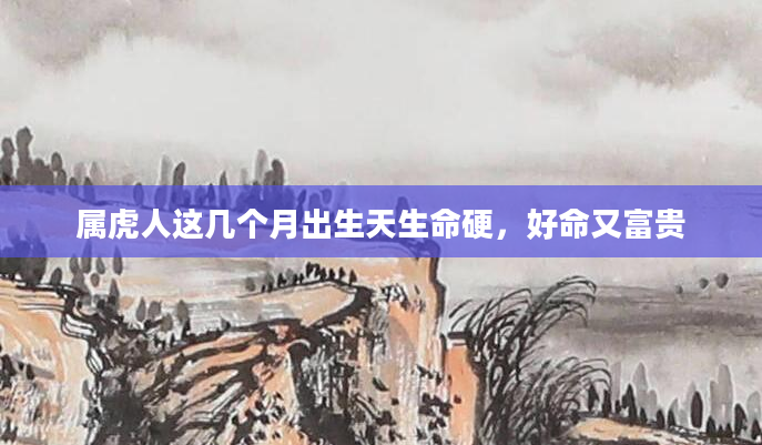 属虎人这几个月出生天生命硬，好命又富贵