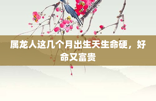 属龙人这几个月出生天生命硬，好命又富贵
