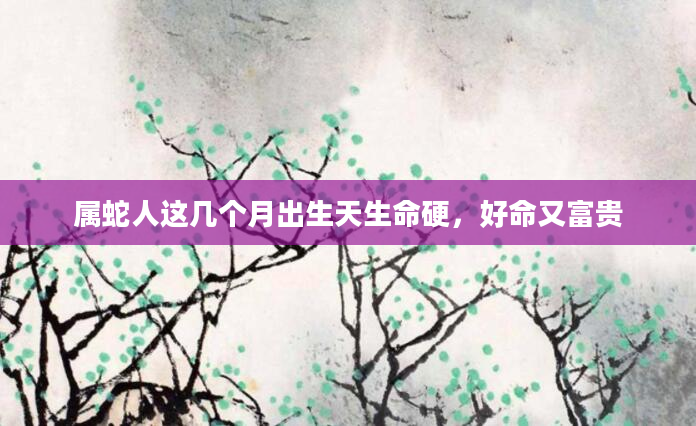 属蛇人这几个月出生天生命硬，好命又富贵