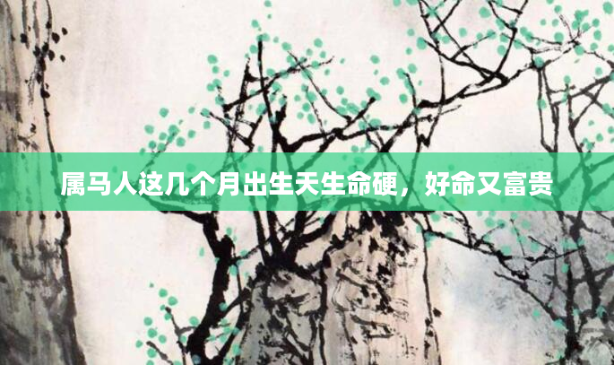 属马人这几个月出生天生命硬，好命又富贵