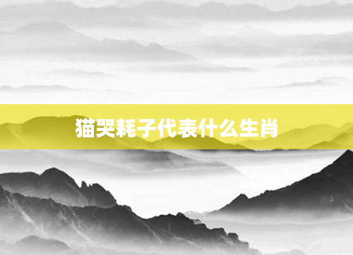 猫哭耗子代表什么生肖