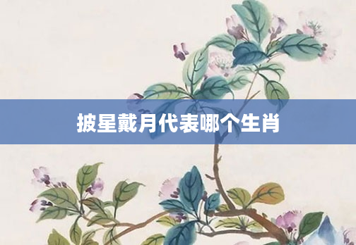 披星戴月代表哪个生肖
