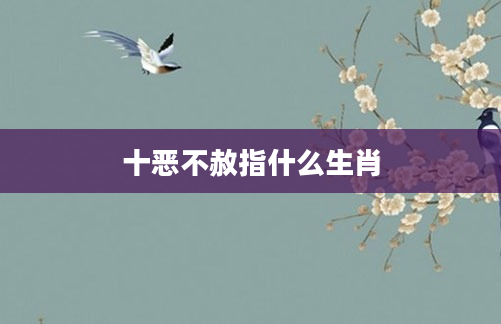 十恶不赦指什么生肖