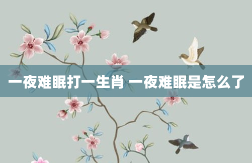 一夜难眠打一生肖 一夜难眠是怎么了