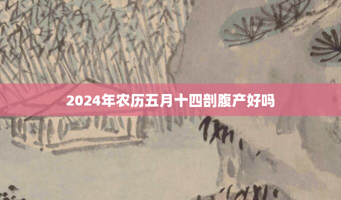 2024年农历五月十四剖腹产好吗