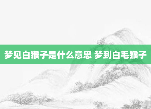 梦见白猴子是什么意思 梦到白毛猴子