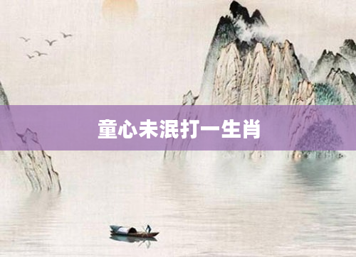 童心未泯打一生肖