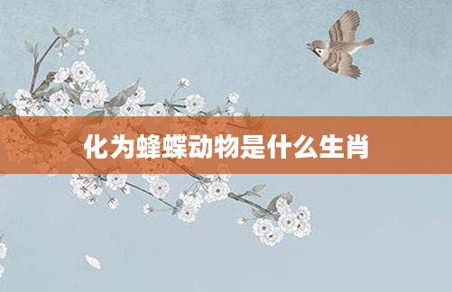 化为蜂蝶动物是什么生肖