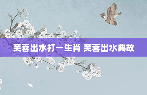 芙蓉出水打一生肖 芙蓉出水典故