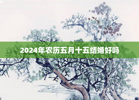 2024年农历五月十五结婚好吗